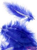 Plume Bleu royal x 20