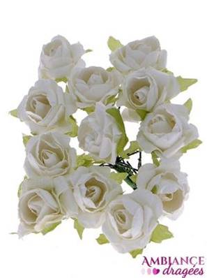 Fleur Rose blanche x 12