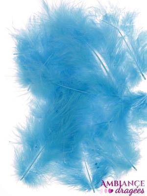 Plume turquoise x 20