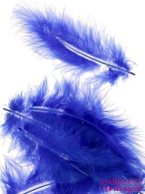 Plume Bleu royal x 20