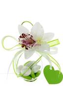 Boule drages verte orchide