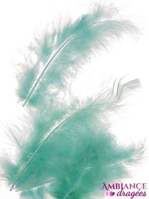 Plume vert d'eau x 20