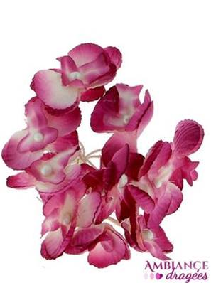 Orchidée Fuchsia x 12