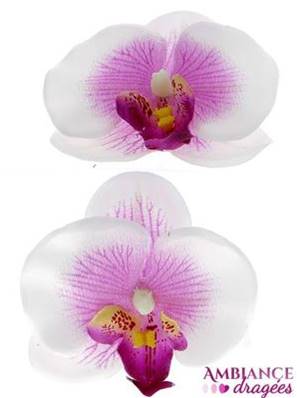 Orchidée lilas x 10