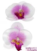Orchidée lilas x 10