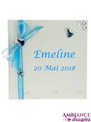 Livre d'or Reine des Neiges
