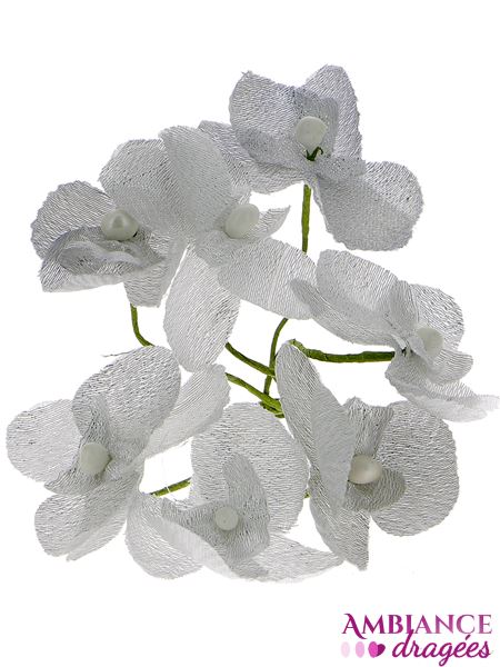 Orchidée argent x 10