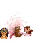 Tulle Dragées Baptême Animaux de la Forêt Rose - Baptême Copain des Bois