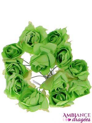 Fleur Rose vert anis x 12