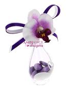 Goutte dragées orchidée Prune