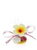 Tulles Dragées Mariage Fleur des Îles - Tulle Dragées Mariage