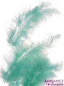 Plume vert d'eau x 20