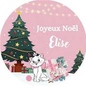 Boule Noël Personnalisée Aristochat