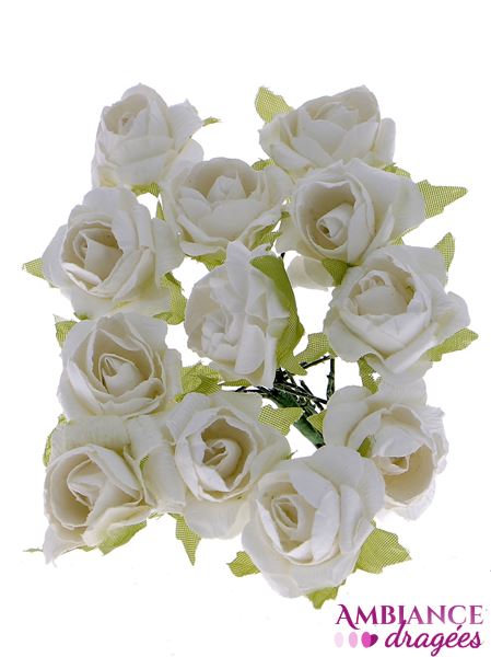 Fleur Rose blanche x 12